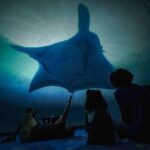 WhatsApp Image 2025-01-16 at 18.56.06 (1)