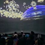 aurora-planetario-movel