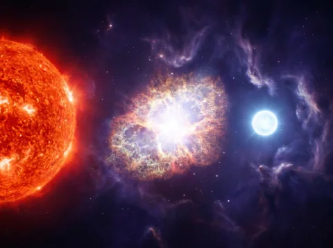 A Vida das Estrelas